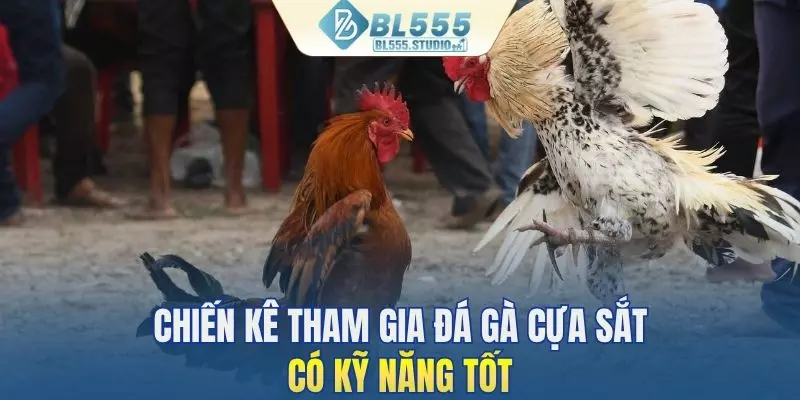 Chiến kê tham gia đá gà cựa sắt có kỹ năng tốt