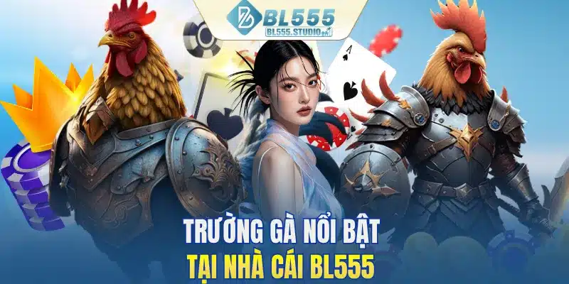 Trường gà nổi bật tại nhà cái BL555